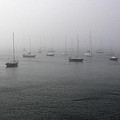 Boats In The Mist