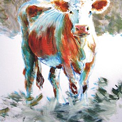 New Painting of a Belted Galloway Cow on the beach