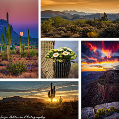 2015 Essence of the Southwest Calendars now available on pre-order