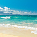 Hawaii Beach Treasures