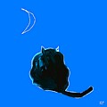 A Black Cat Moon