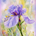  Lavender Iris Portrait