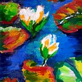 Back to Nature /Lotus flowers / Water lilies / Monet lily pond
