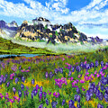 Colorado Rocky Mountain River Spring Florals