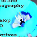 Develop From The Negatives Motivational Quote