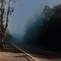 Fog on the Road