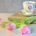 Tea, Tranquility and Tulips 