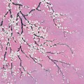 White Plum Blossom on dusky pink