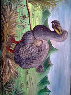 Dodo Paitings Dodo Paitings