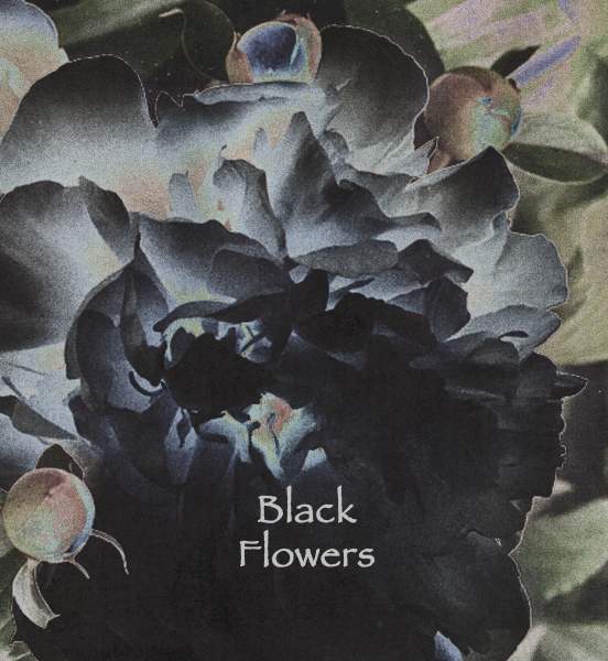 BLACK Flowers