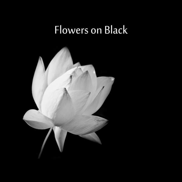 Flowers on Black