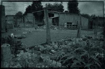 Old Barns