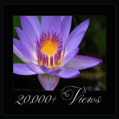 20000 Views 20000 Views