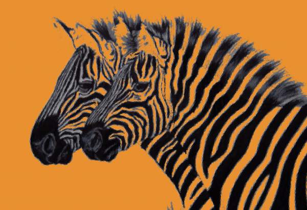 Abstract Zebras