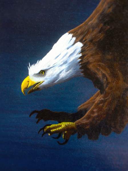 Bald Eagle image contest - logo for American Symbol group