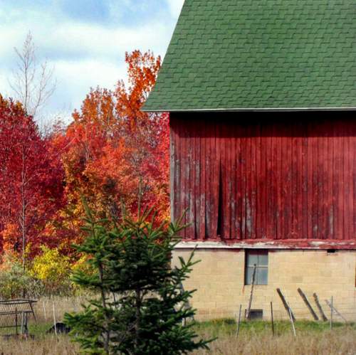 Barns in Midwest America