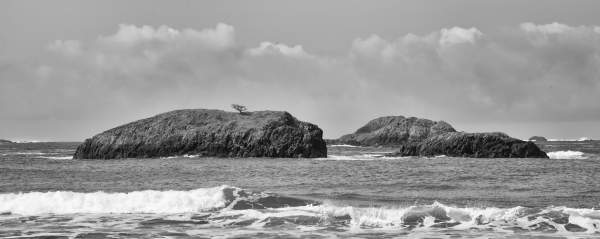 Black and White Seascapes