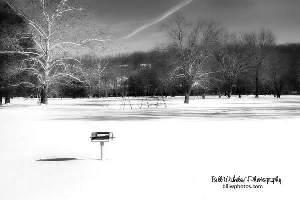 Black and White Winter Landscapes