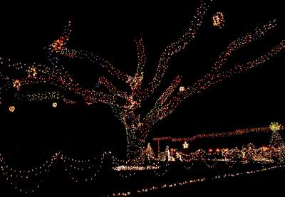 Christmas Lights 2011