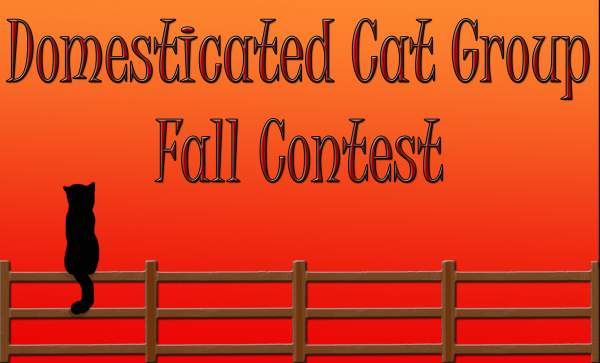 Domesticated Cats Group- Fall Image Contest