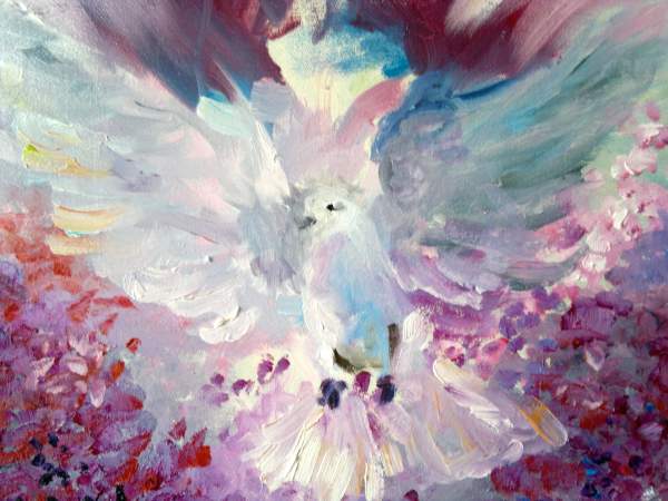 Dove of Peace Dove of Peace