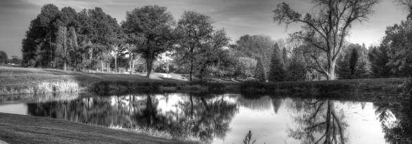 Dreaming in black and white PANORAMIC IMAGES ONLY
