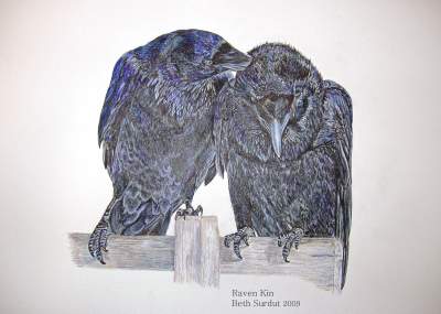 Extraordinary Bird Art Extraordinary Bird Art