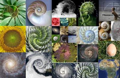 Fibonacci Contest