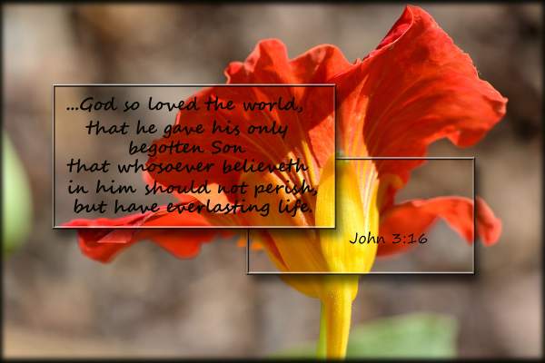 FLOWERS and Scripture