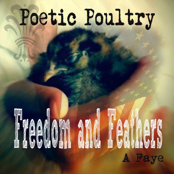 Freedom and Feathers 