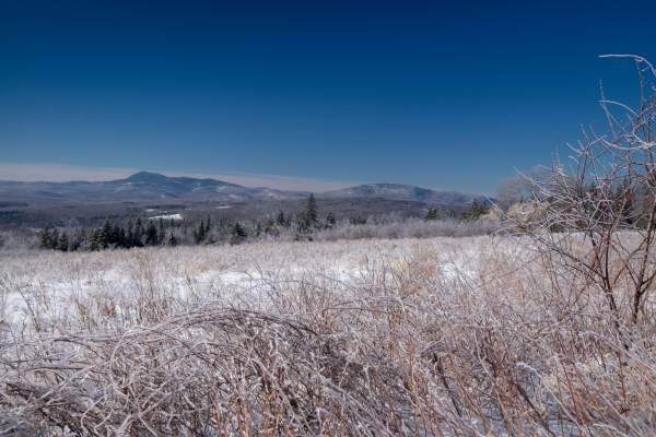 Maine Winter Landscape