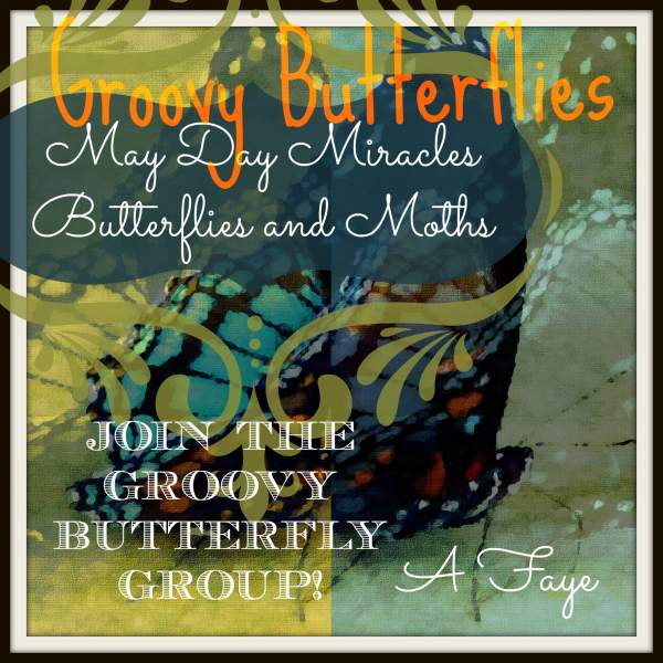 May Day Miracles - Butterflies and Moths