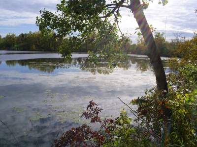 Minnesota Lakes and Ponds
