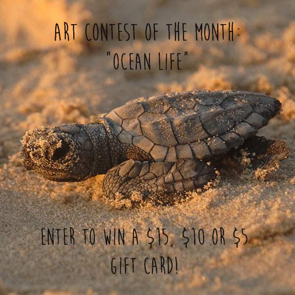 Ocean Life Photography and Art Contest