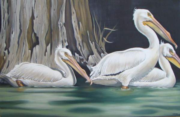 Painted White Birds
