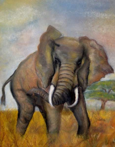 Paintings or Drawings of Wildlife Animals