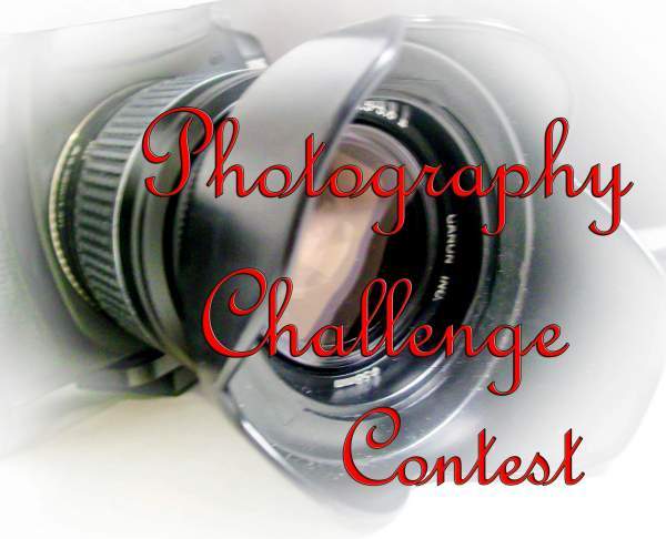 Photography Challenge-Best New Photograph for July