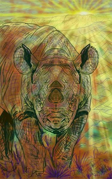 Save The Rhino