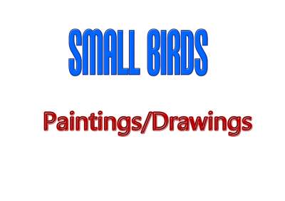 SMALL BIRDS Paintings Drawings Only