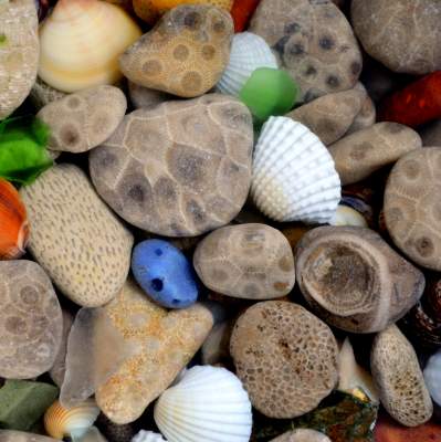 Stones Pebbles and Rocks