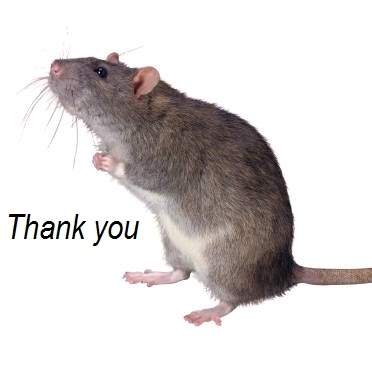 Thank You - Contest - MOUSE