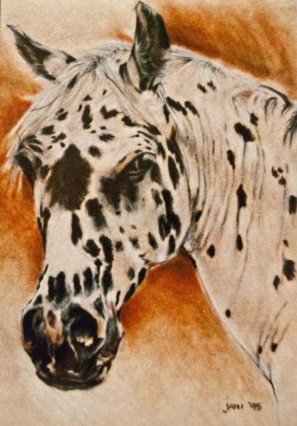 The Spotted Horse - Paintings and Drawings