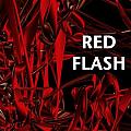 RED flash  NO Flowers