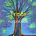 Trees- no photography