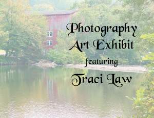 Art Exhibit Featuring Traci Law