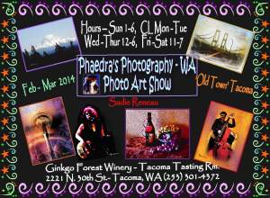 Phaedras Photography Photo Art Show