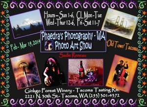 Phaedras Photography- Wa Photo Art Show
