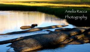 Amelia Racca Photography - Artist Reception
