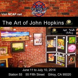The Art Of John Hopkins Now Showing At Station 55...