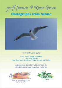 Artist Geoff Francis At River Green Photographs...